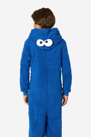 A kid is wearing a blue sesame street onesie resembling Cookie Monster. View from the back with the hood down.