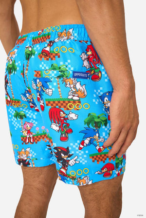 Image of a man wearing a blue summer set with Sonic, Tails, Knuckles, and Shadow game print. Back of shorts close-up.