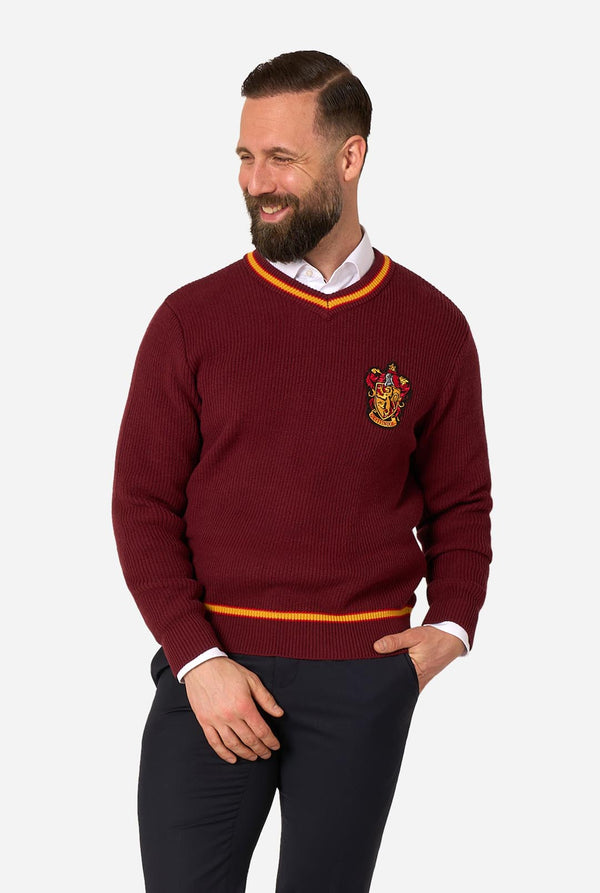 A man wearing a maroon ribbed V-neck Harry Potter Gryffindor sweater with yellow and orange trim, featuring the Gryffindor house crest on the left chest, styled over a white collared shirt and dark trousers, set against a plain light gray background.