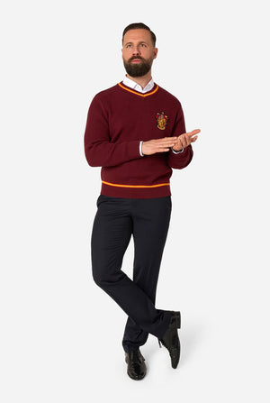 A man modeling a maroon V-neck Harry Potter Gryffindor sweater with yellow and white trim, featuring a crest on the left chest, paired with dark trousers and black shoes, against a light gray background.