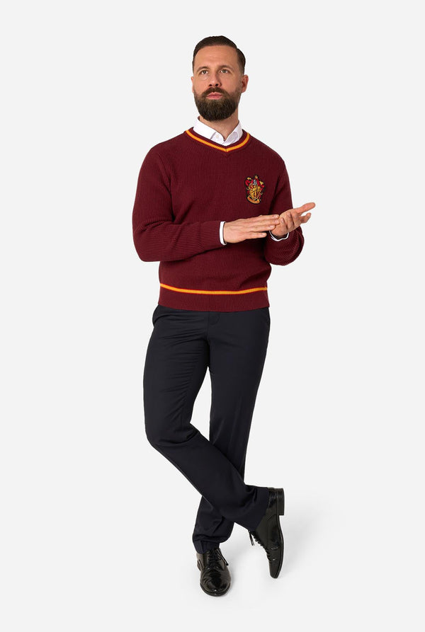 A man modeling a maroon V-neck Harry Potter Gryffindor sweater with yellow and white trim, featuring a crest on the left chest, paired with dark trousers and black shoes, against a light gray background.
