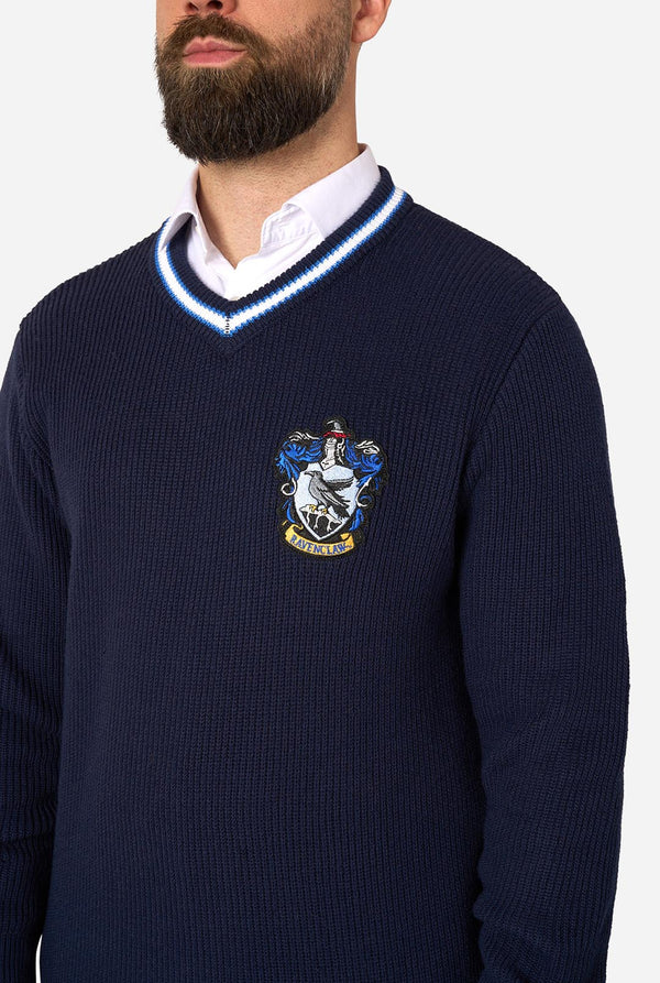 A man wearing a navy blue ribbed knit Harry Potter Ravenclaw sweater with a white and blue striped V-neck collar, layered over a white collared shirt. The sweater features a detailed embroidered crest on the left chest.