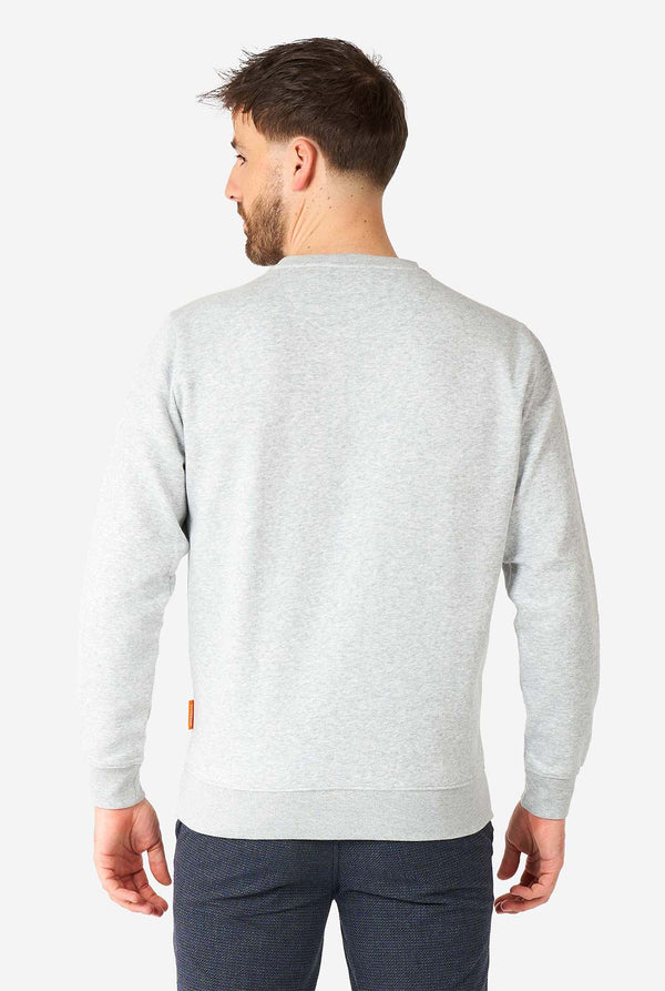 Man wearing grey Pizza Party quote sweater